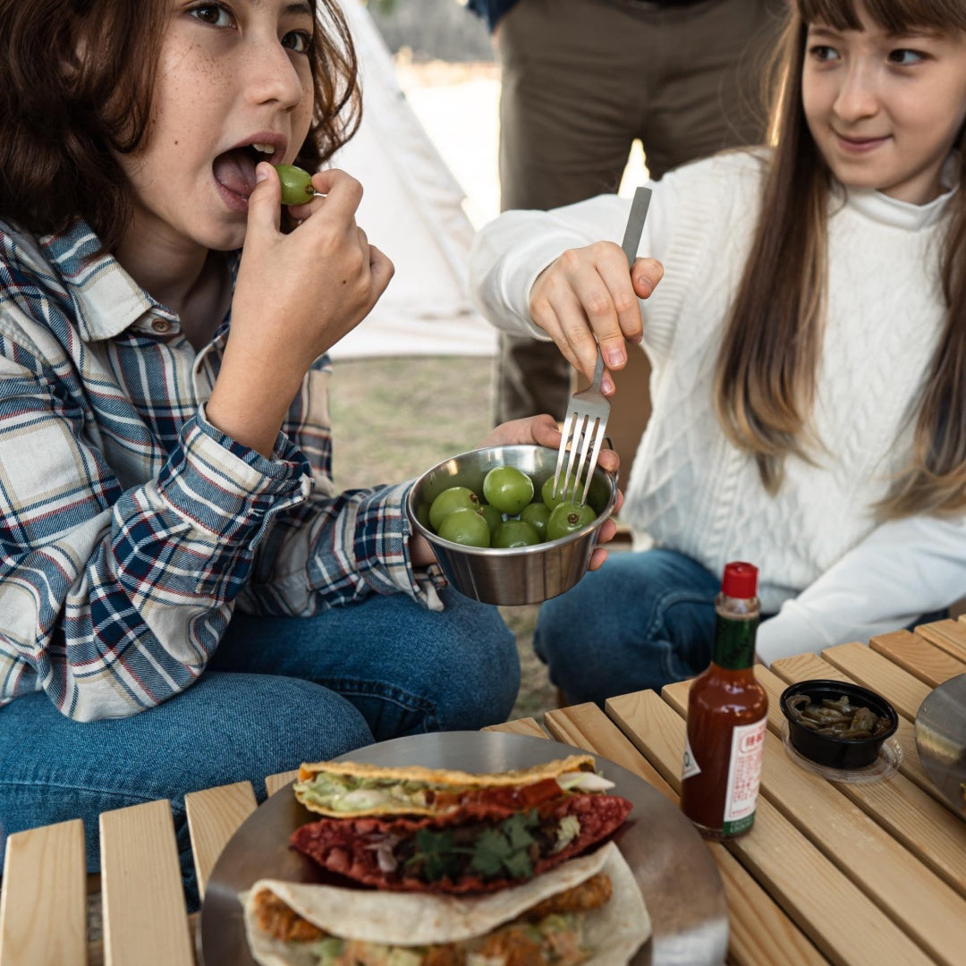 Portable Picnic Storage Bag